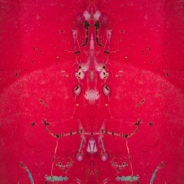 Thorsten Faber, Red Corrosion III